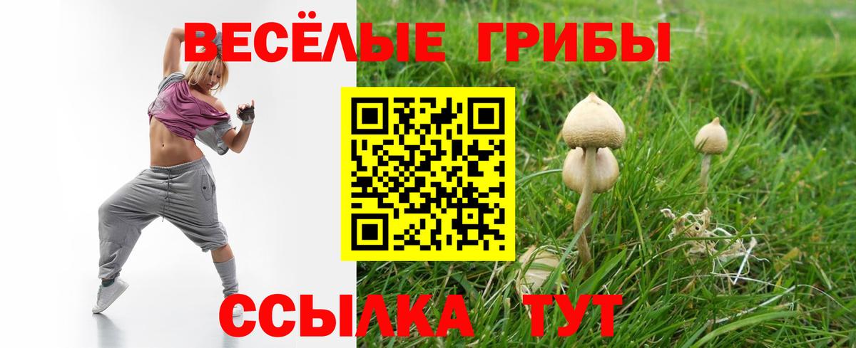 Барабинск  хочу   Вход с VPN  Псилоцибиновые грибы Magic Shrooms 